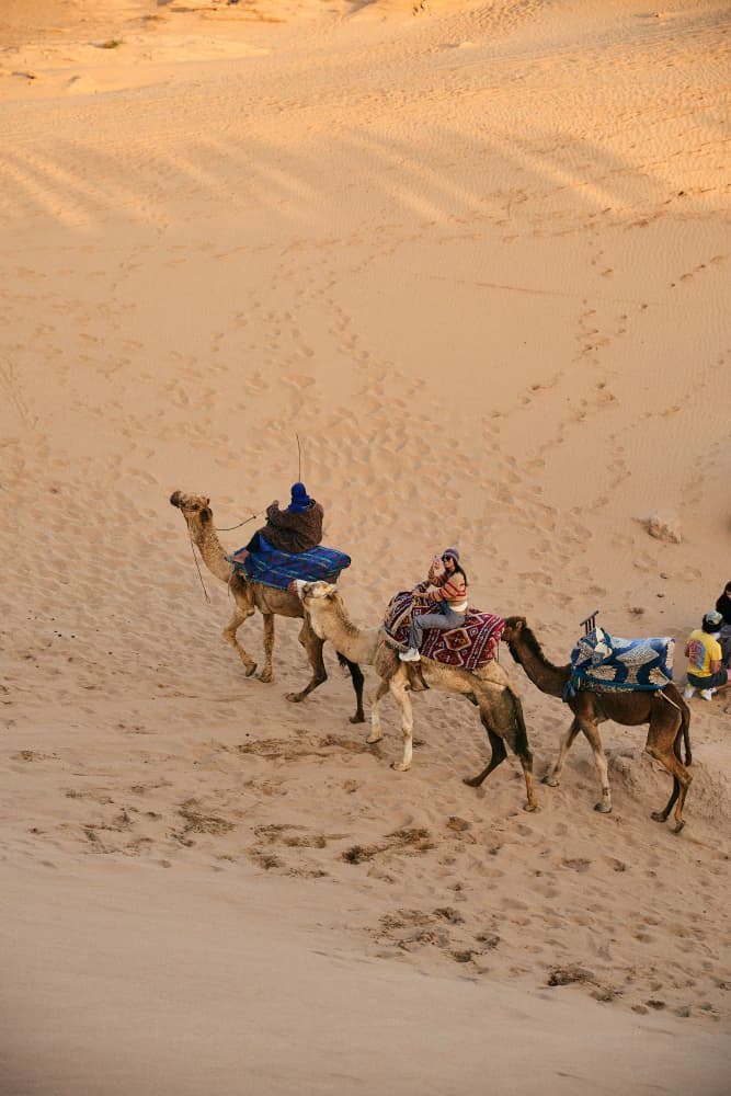 Camel caravan crossing dunes at Aman Surf & Yoga in Imsouane, Morocco
